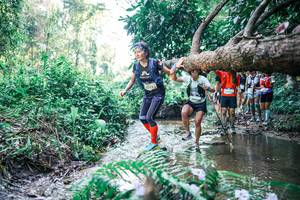 BIB: 
                            <button type="button" onclick="openModal(25445674)" class="btn btn-primary btn-sm float-right btn-popup" data-toggle="modal" data-target=".modal-high-quality">
                        <i class="fas fa-shopping-cart"></i> Add to Cart
                    </button>
                                            <button type="button" onclick="isThisMe(25445674, true)" class="btn btn-success btn-sm float-right btn-popup btn-isme hidden" data-toggle="tooltip" data-placement="bottom" title="นี่คือรูปของคุณใช่ไหม คลิกที่นี่เพื่อเอาเข้าอัลบั้ม">
                        <i class="fas fa-plus"></i> Add to album
                    </button>
                    <button type="button" onclick="isThisMe(25445674, false)" class="btn btn-warning btn-sm float-right btn-popup btn-isnotme hidden">
                        <i class="fas fa-ban"></i> Remove from album
                    </button>